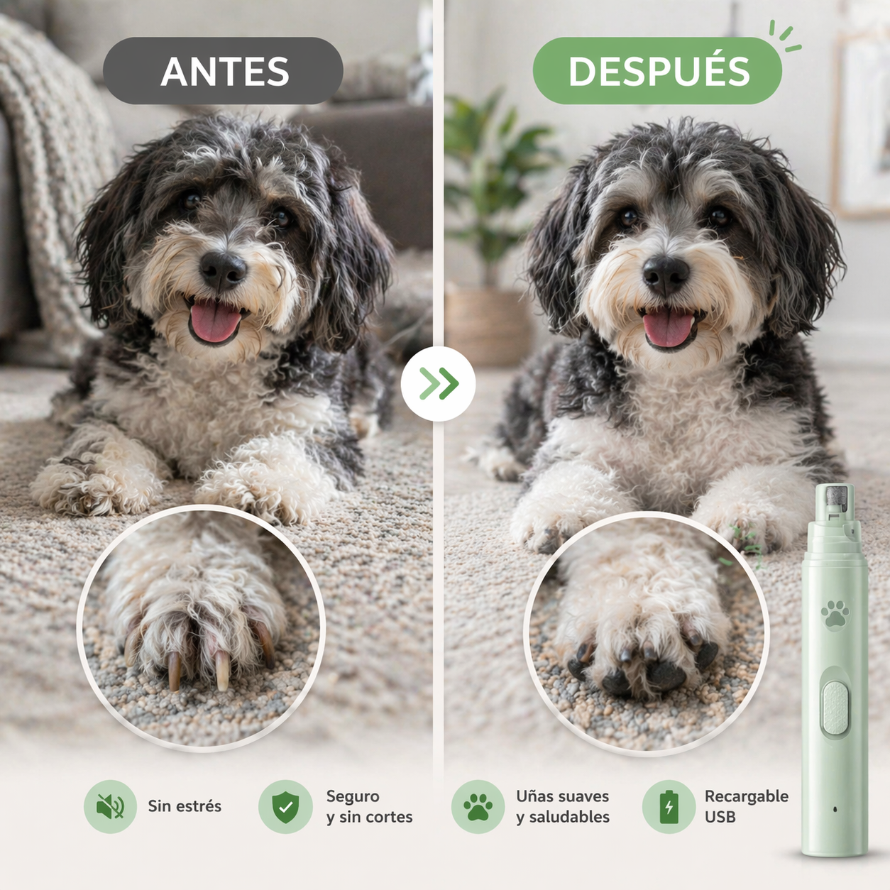 Lima Eléctrica Para Mascotas Pro